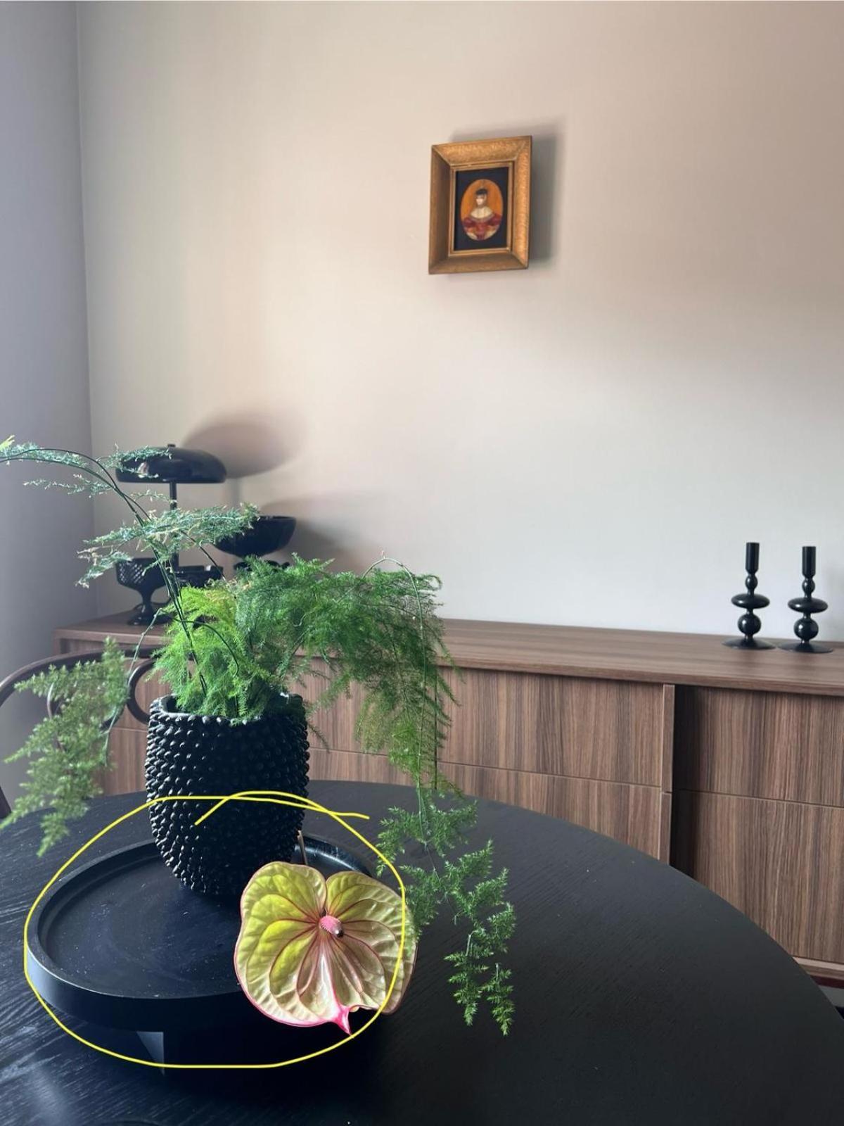Entu Odrzanska Apartment